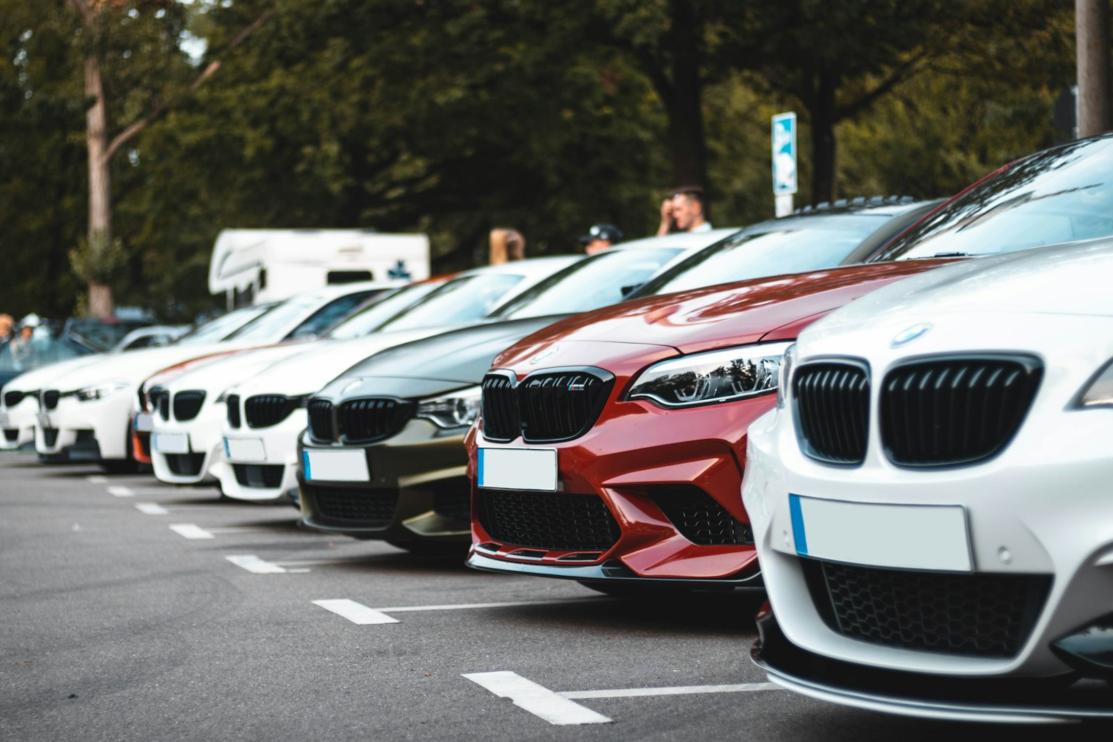 Rental sedans and SUVs parked in a Dubai lot